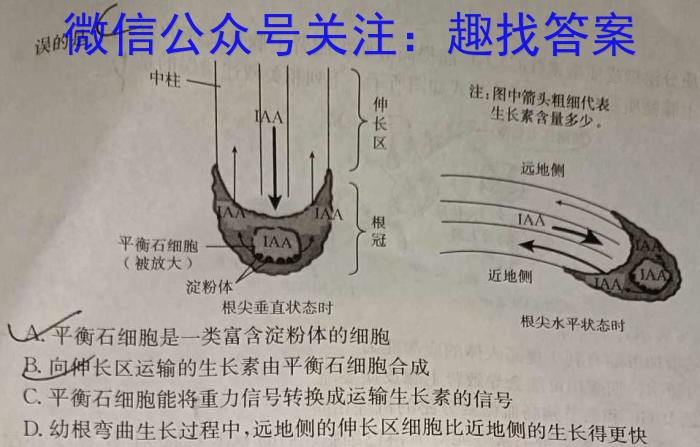 2024年茂名市高三第二次综合测试生物学试题答案