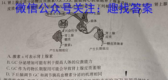 黑龙江省2023-2024学年度下学期高二4月联合考试(242675D)生物学试题答案