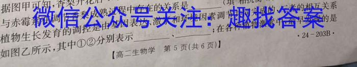 甘肃省2024届高三阶段性检测（4月）生物学试题答案