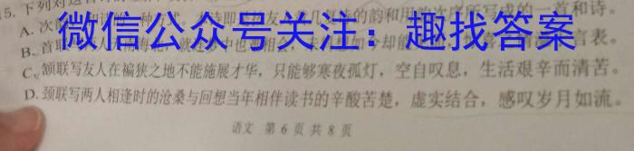 青桐鸣2024届普通高等学校招生全国统一考试 青桐鸣大联考高三(4月)语文