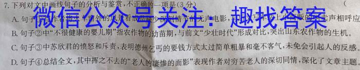 天一大联考 2023-2024学年安徽高二(下)期末质量检测语文