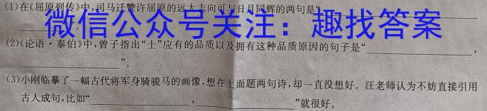 安徽省宿州市省、市示范高中2023-2024学年度高一第二学期期中教学质量检测语文