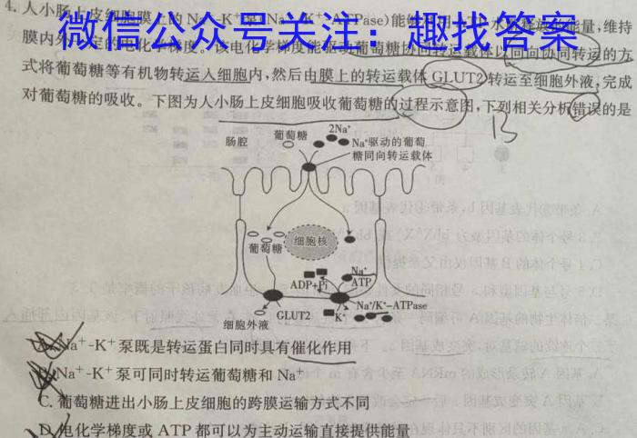 金科大联考·山西省2023-2024学年高一年级第二学期4月联考数学