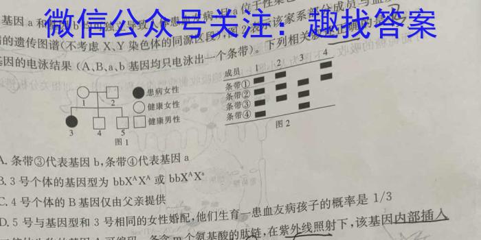 河南省2023~2024学年度七年级综合素养评估(八)R-PGZX