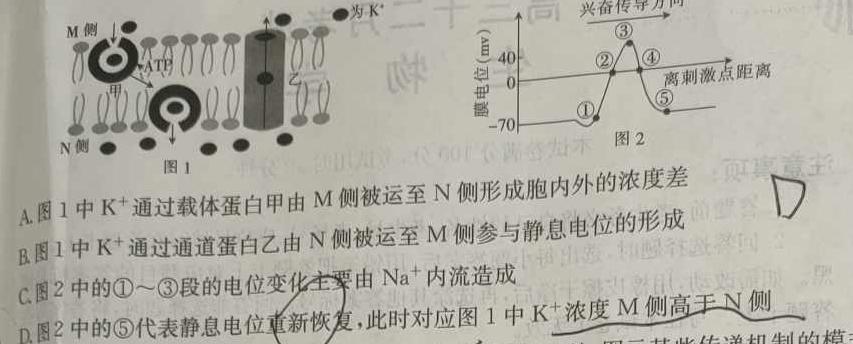 名校计划2024年河北省中考适应性模拟检测（拔高型）数学.考卷答案