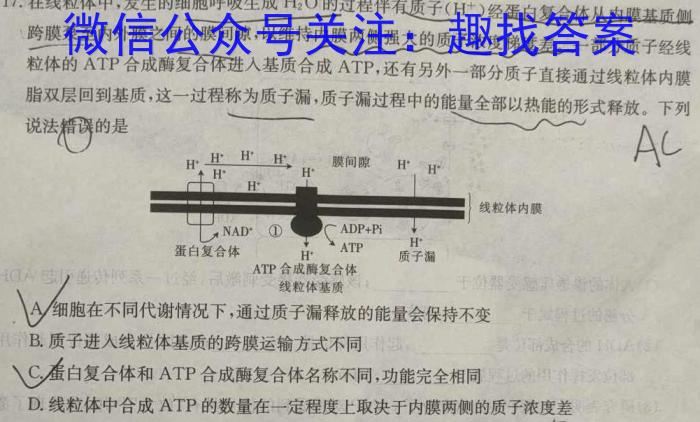 “皖域争锋·联盟竞秀”安徽省九年级联盟考试（5月）数学