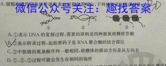 百校联赢·2024安徽名校大联考一数学