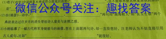 安徽第一卷·2023-2024学年安徽省九年级教学质量检测四Ⅳ(1月)语文