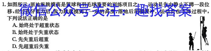 真题密卷 2024-2025学年度单元过关检测(四)4物理试题答案