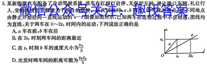 高考研究831重点课题项目 陕西省联盟学校2024年联考(4月)h物理