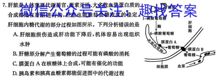 甘肃省2024年新高考联考卷（2024.4.9）数学