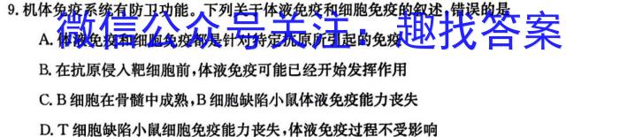 山西省2024年中考总复习预测模拟卷（六）数学