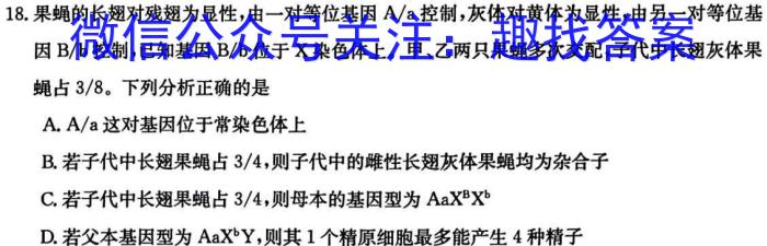 安徽省淮北市2023-2024学年度八年级第二学期期末质量检测数学