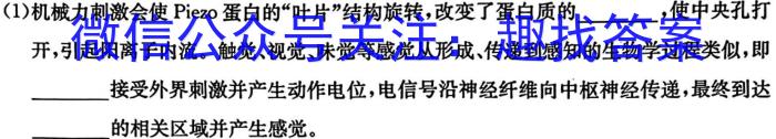 山东省潍坊市高三开学调研监测考试(2024.9)生物学试题答案