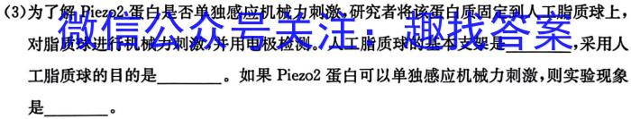 2024届普通高等学校招生全国统一考试·猜题金卷(四)4生物学试题答案