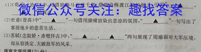 济宁市2023-2024学年度第二学期质量检测（高二年级）语文