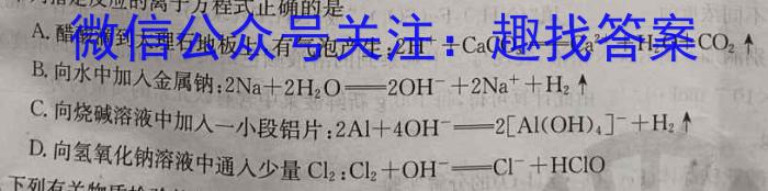 安徽省安庆十六中2024-2025学年第一学期九年级开学学情监测化学