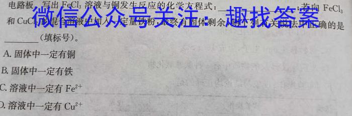 贵州省2024年初中学业水平考试全真模拟试卷（二）化学