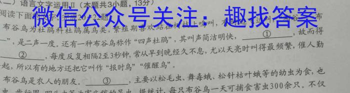 2024年河南省实验中学第二次学情调研语文