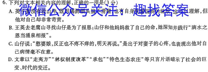 贵州省贵阳第一中学2024届高考适应性月考卷(九)(黑白黑黑黑白白)语文