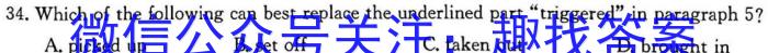 陕西省咸阳市永寿县中学2024年高三质量检测卷(24474C)英语