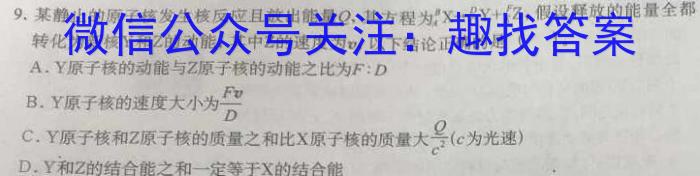 陕西省2024年九年级仿真模拟示范卷 SX(一)物理