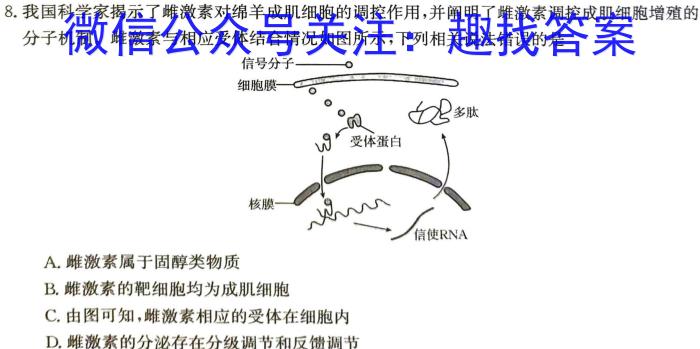 2024届攀枝花高三第二次统一考试生物学试题答案