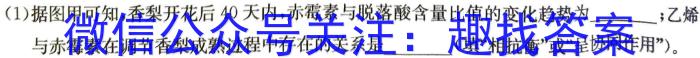 安徽省2023-2024同步达标自主练习七年级第五次数学