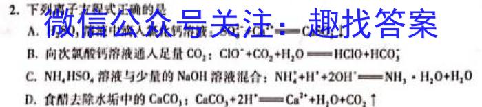 q河南省2024年中考试题猜想(HEN)化学