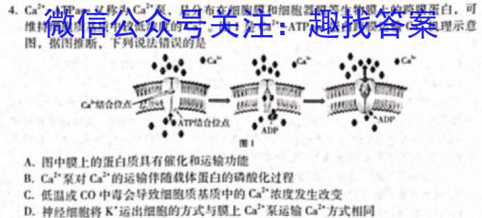 炎德英才名校联考联合体2025届高三第一次联考(暨入学检测)生物学试题答案