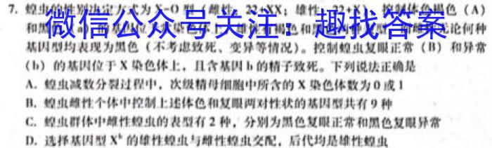 2024年陕西省初中学业水平考试信息卷(二)2数学