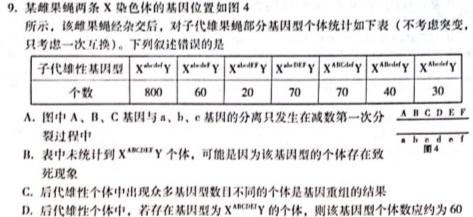 鼎成原刨模考 2024年河南省普通高中招生考试 核心诊断卷生物学部分