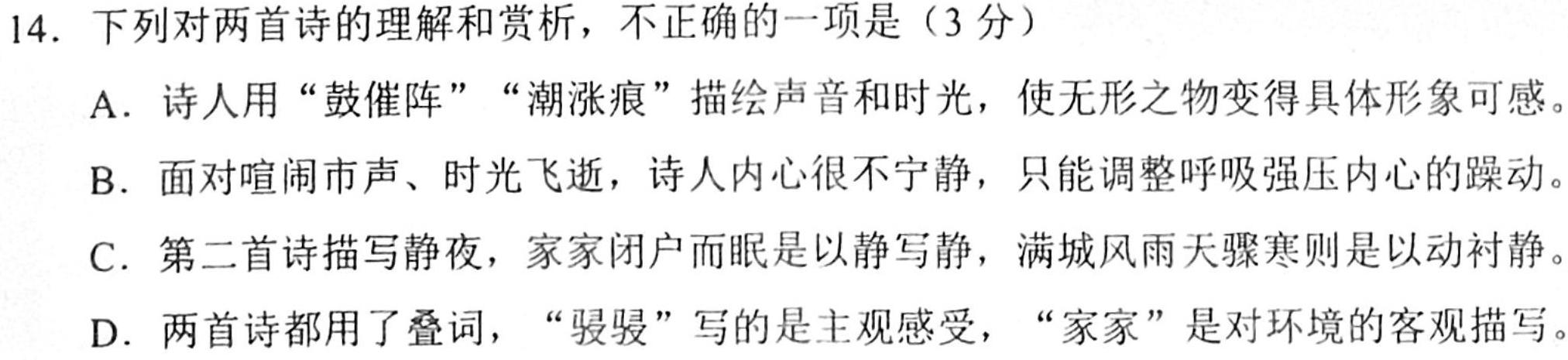 安徽省涡阳县2023-2024学年度九年级第二次质量监测语文