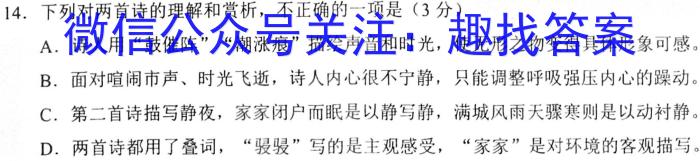 安徽省合肥市瑶海区2024届九年级上学期1月期末考试语文