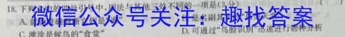 名校之约 安徽省2024年中考导向八年级学业水平测试卷(一)1语文