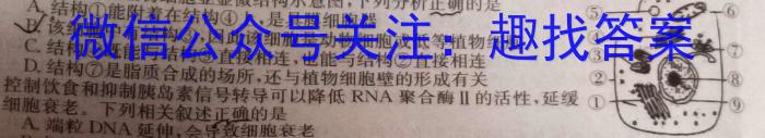 安徽省2024年中考模拟示范卷（四）生物学试题答案