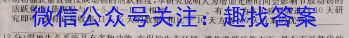 湖南省2024届高三一起考大联考(模拟二)数学