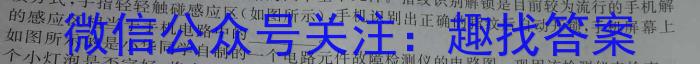 2024年河南省中考模拟试卷（二）物理试卷答案