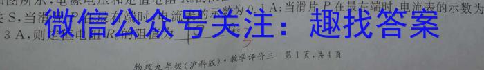 安徽省合肥市肥东县2024届九年级期末试卷物理`