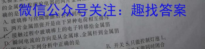 天壹名校联盟·湖南省2024年上学期高一期末考试物理试题答案