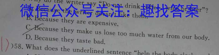 广东省2024-2025学年深圳市深圳中学新初一分班考试英语