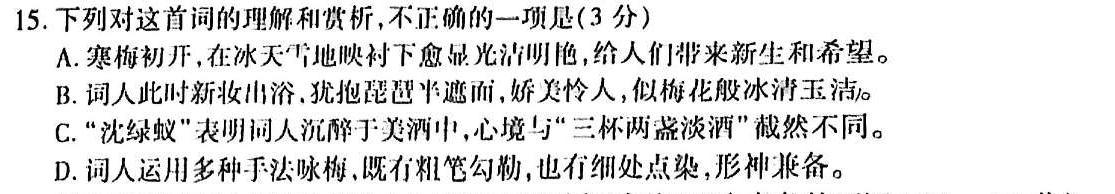 [今日更新]洛平许济2023-2024学年高三第三次质量检测(3月)语文试卷答案