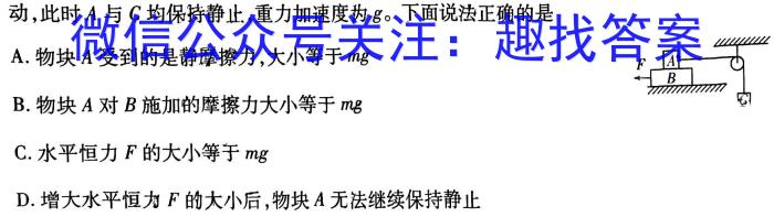 2024年安徽省初中毕业学业考试冲刺试卷(二)物理试题答案