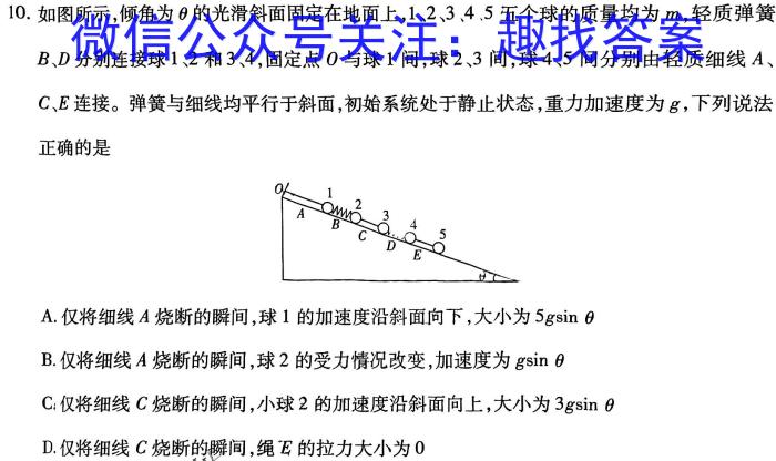 2024年四川省高二5月联考(24-533B)物理试卷答案