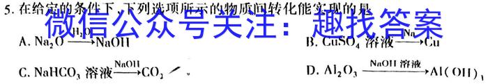 九师联盟·2024年江西高二期末教学质量检测（JA）数学