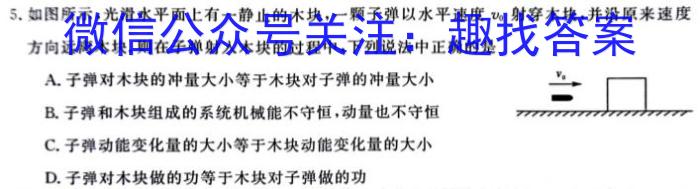 九师联盟 2023-2024学年江西省高二5月教学质量检测物理试卷答案