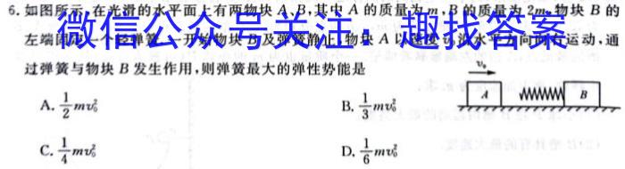 2024普通高等学校招生全国统一考试·临门一卷(一)1物理试卷答案