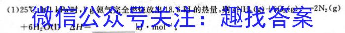 q2024届耀正文化名校名师模拟卷(九)化学