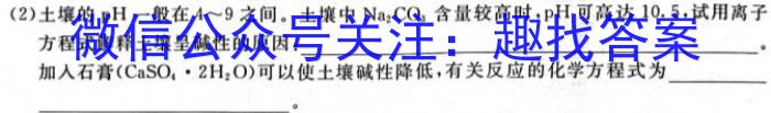 2023-2024学年河南省三甲名校原创押题试卷（二）化学