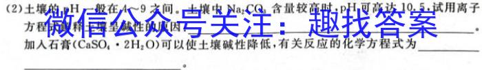 3安徽省2024年九年级教学质量检测(CZ147c)化学试题